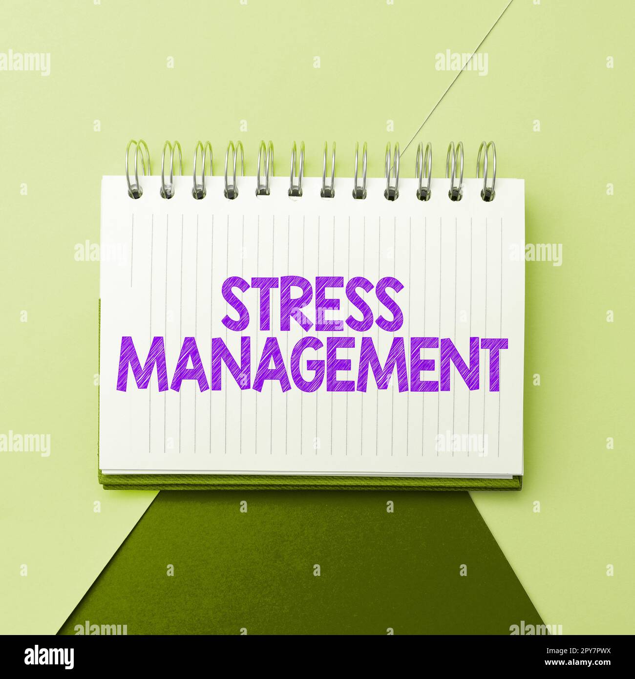 Scrittura con visualizzazione del testo Gestione stress. Business concept imparare modi di comportarsi e pensare che riducono lo stress Foto Stock