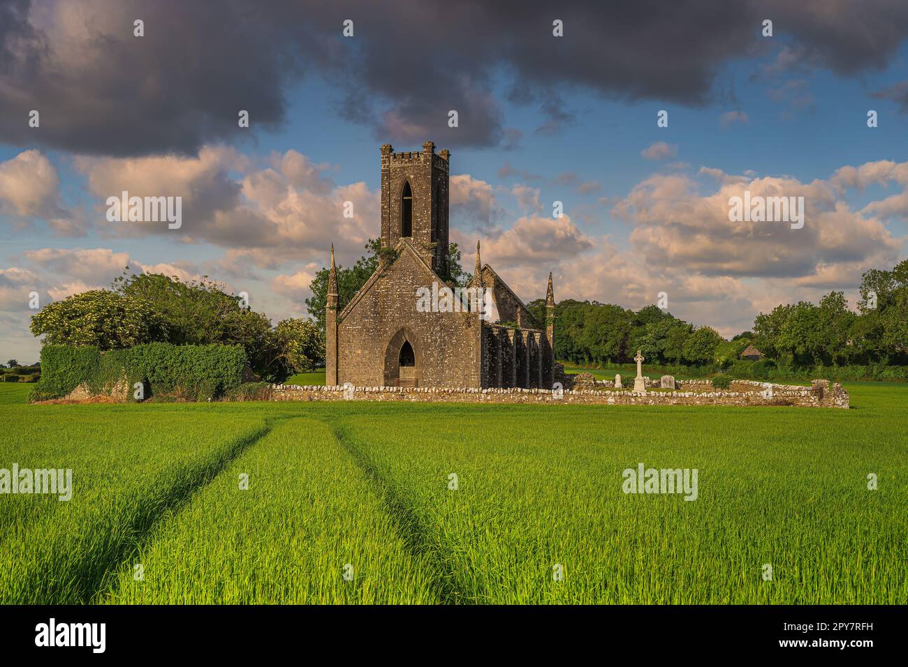 Antiche rovine della chiesa di Ballinafagh con un cielo drammatico, Irlanda Foto Stock