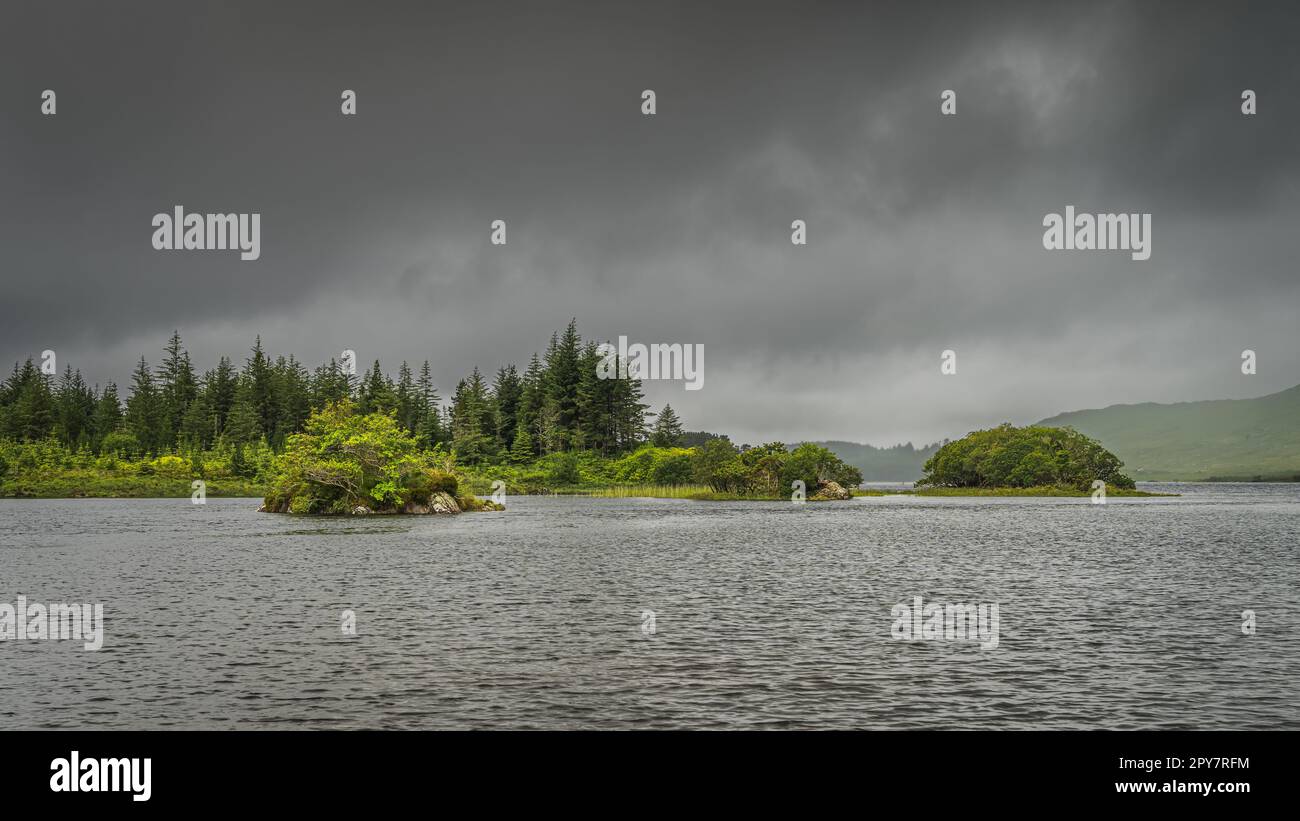 Piccole isole rocciose coperte da cespugli e alberi sul lago Ballynahinch nel Connemara Foto Stock