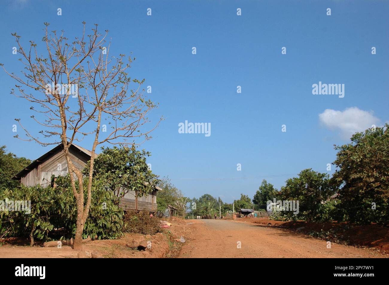 Paesaggio delle Highland a Tay Nguyen, Vietnam Foto Stock