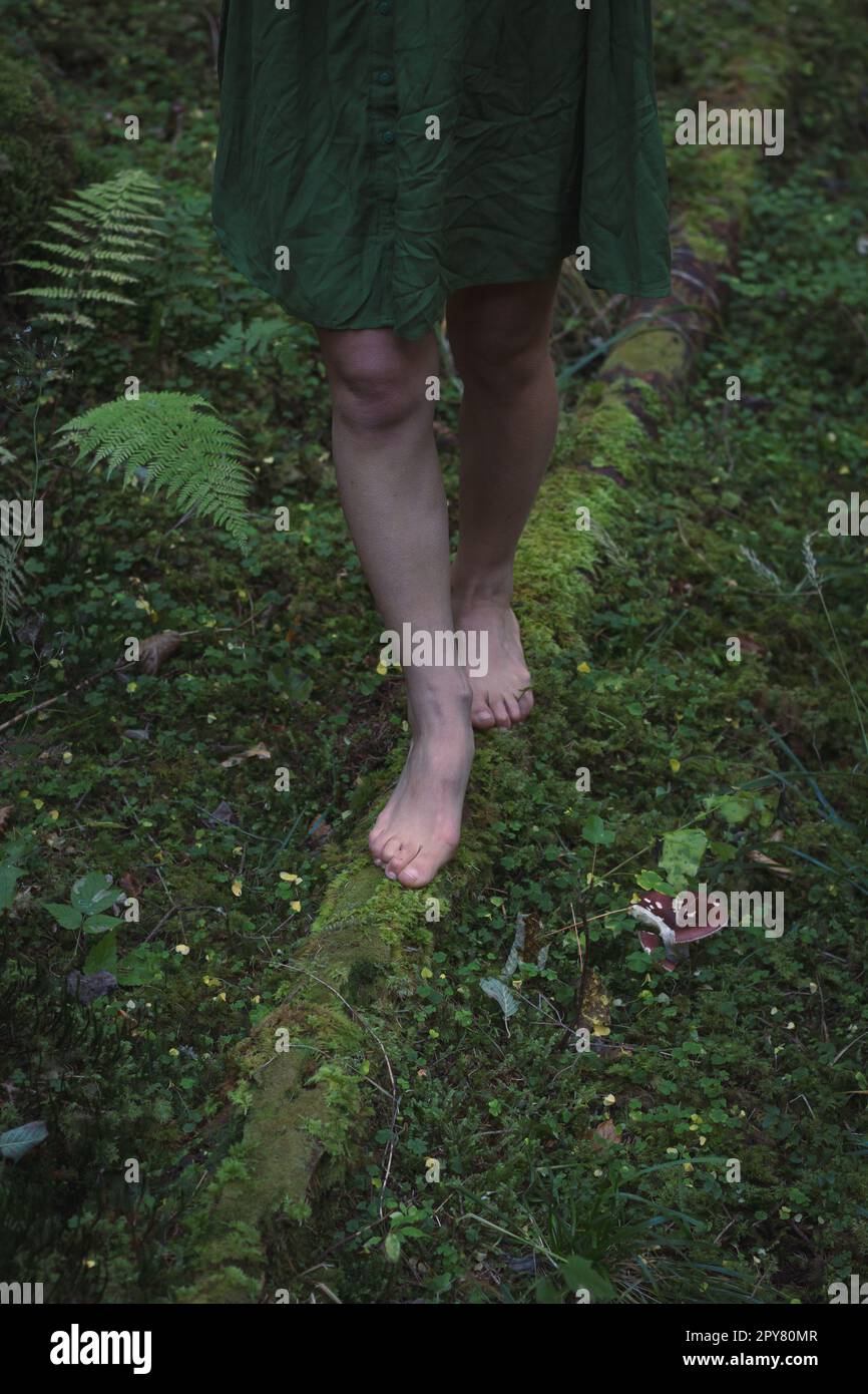 Primo piano di una foto del concetto di log e piedi della foresta Foto Stock