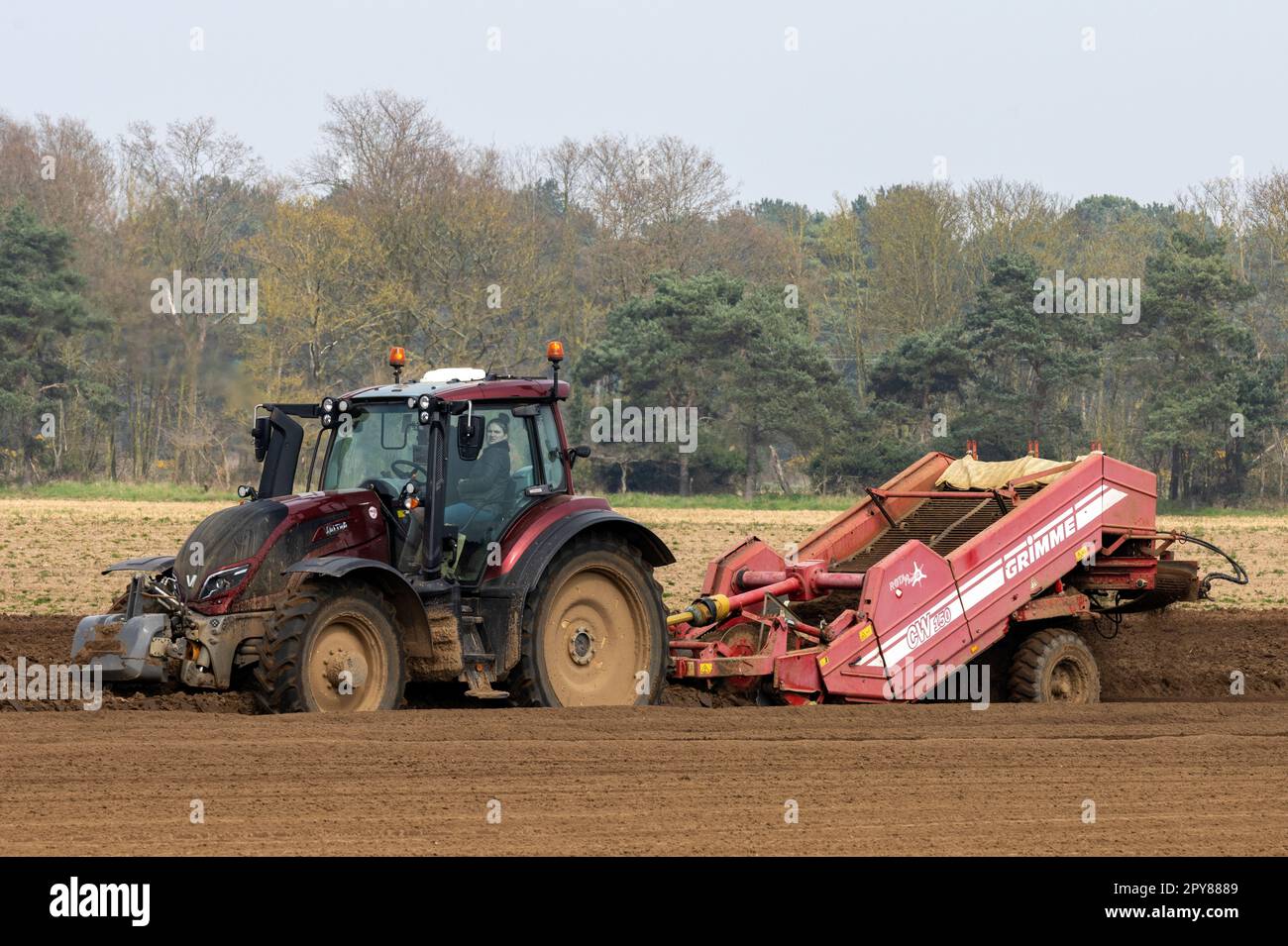 Grimme CW150, destoner Shottisham Suffolk, Regno Unito Foto Stock