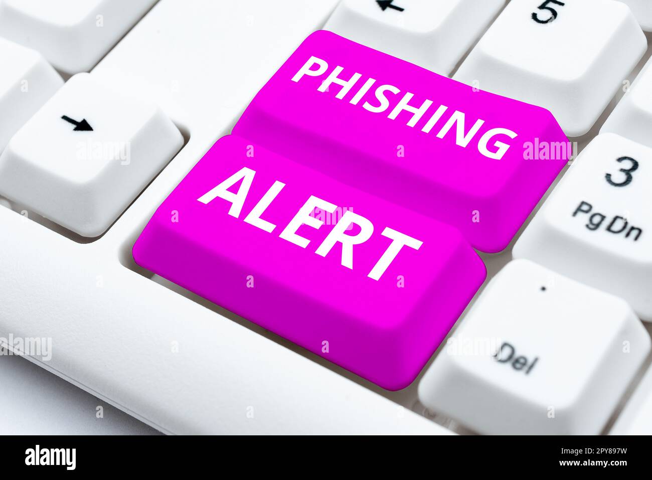 Ispirazione che mostra il segno Phishing Alert. Approccio aziendale consapevole del tentativo fraudolento di ottenere informazioni sensibili Foto Stock