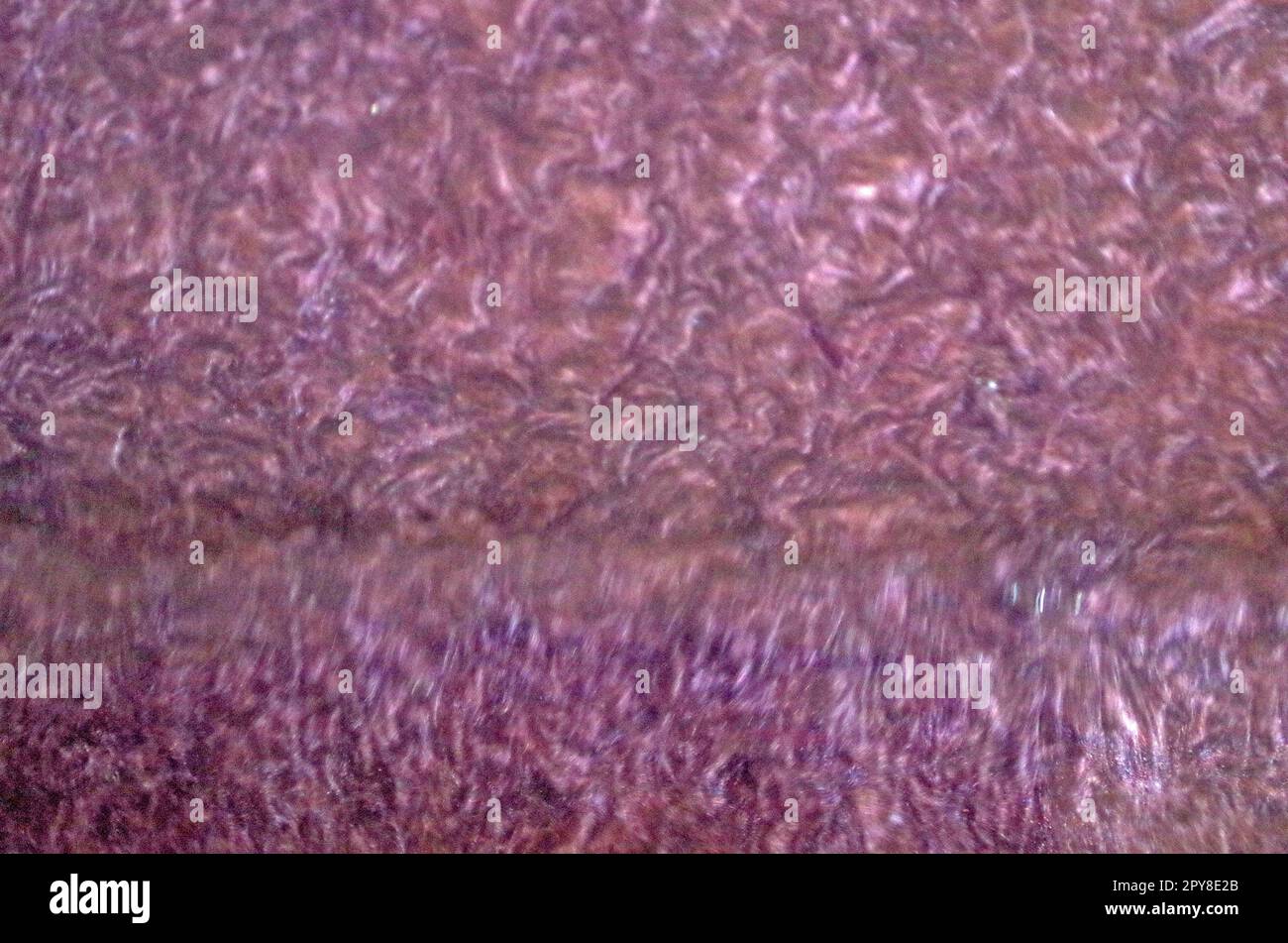 Sperimentare con liquido. Foto Stock