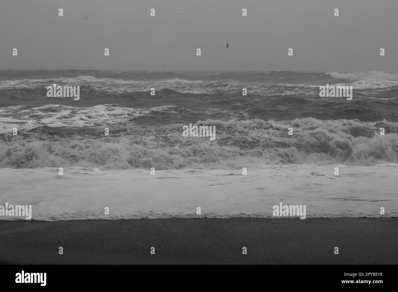 Spiaggia di mare in giornata tempestosa foto di paesaggio monocromatico Foto Stock