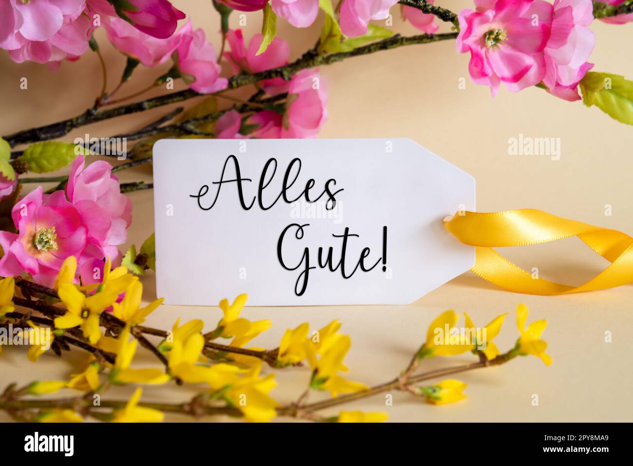 Decorazione di fiori di primavera, etichetta con la Guta di Alles significa i migliori auguri Foto Stock