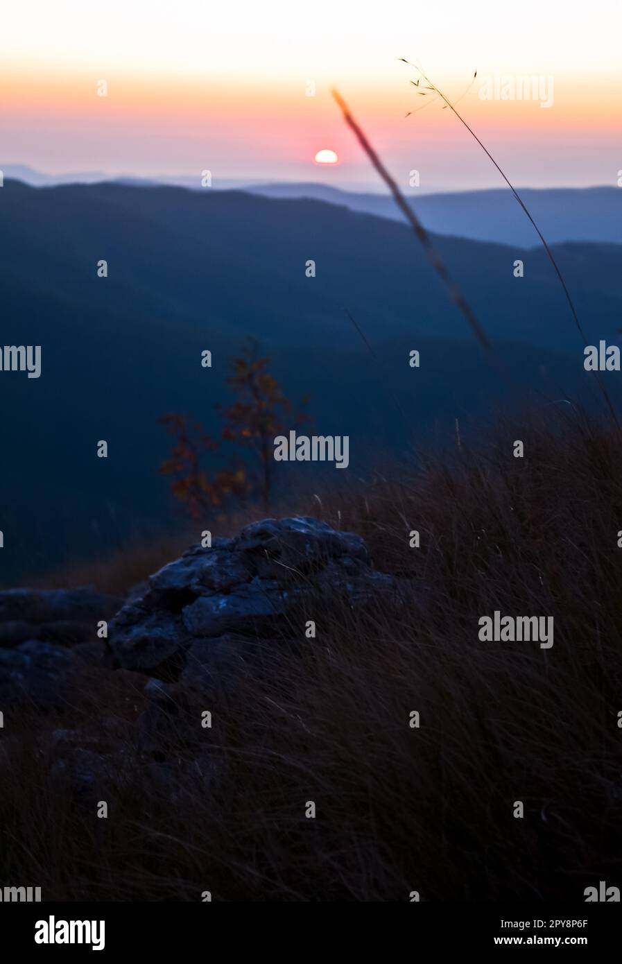 Primo piano roccia in erba soffrigante sulla collina concept foto Foto Stock