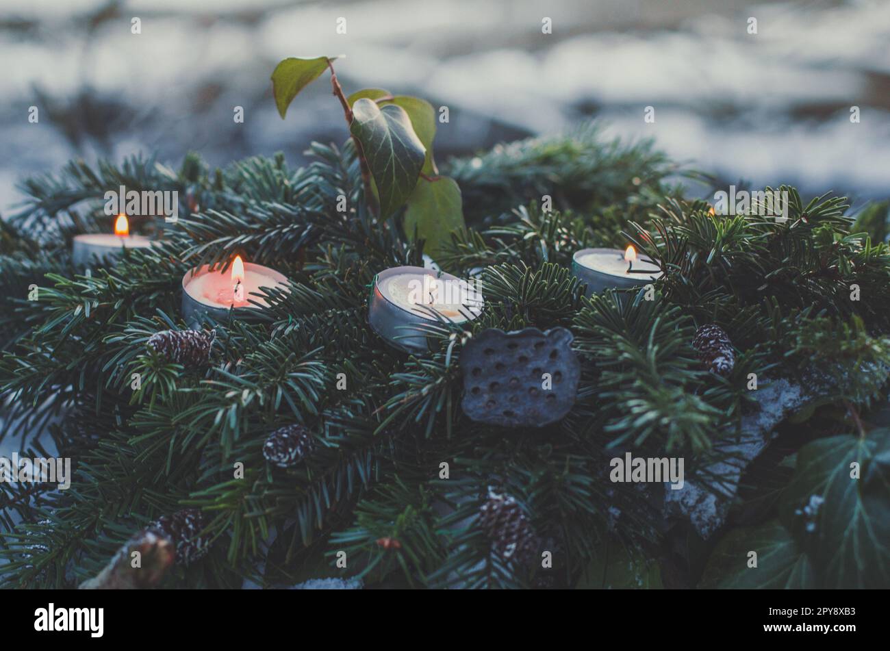 Primo piano candele di tealight in sempreverde pineta rami concept photo Foto Stock