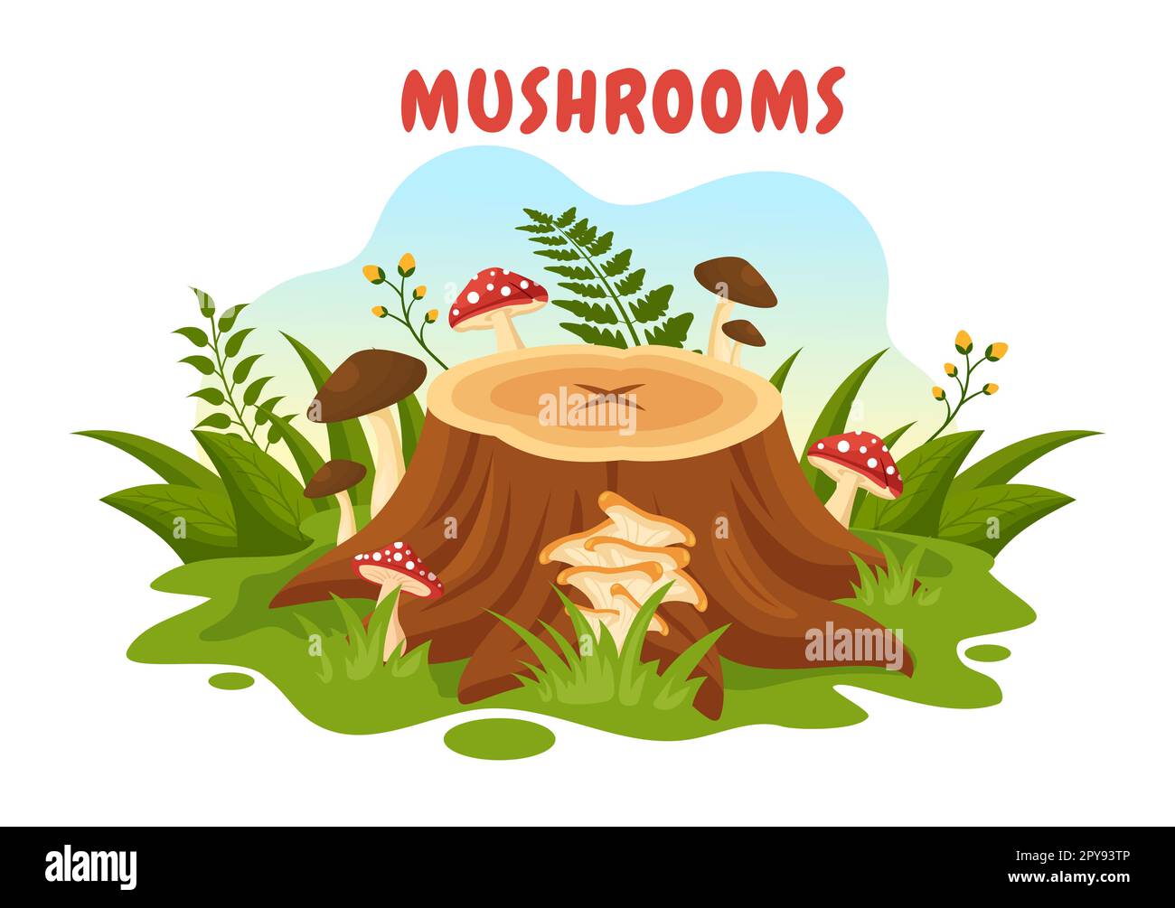 Funghi Illustrazione con diversi funghi, erba e insetti per banner Web o landing page in Cartoon piano modelli disegnati a mano Foto Stock