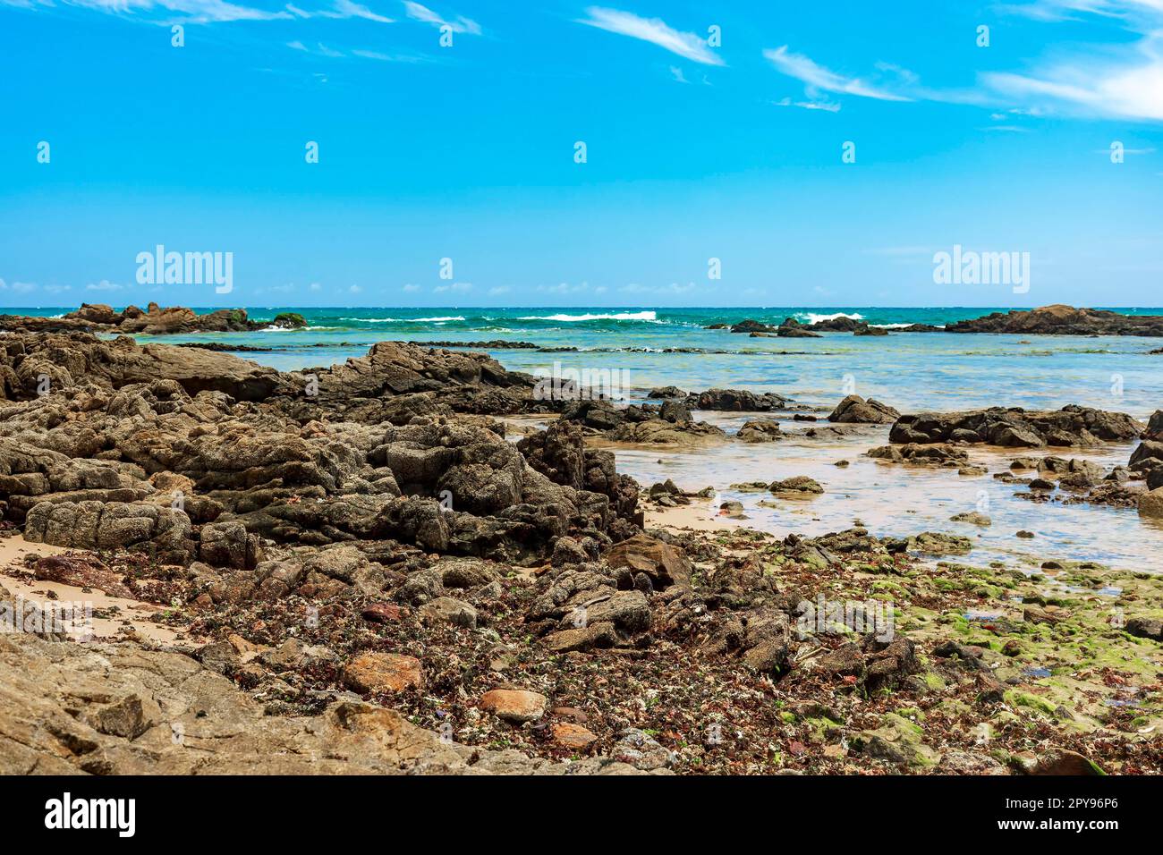 Zona rocciosa con piscine naturali, alghe e barriere coralline alla spiaggia di Itapoa nella città di Salvador a Bahia, Brasile Foto Stock