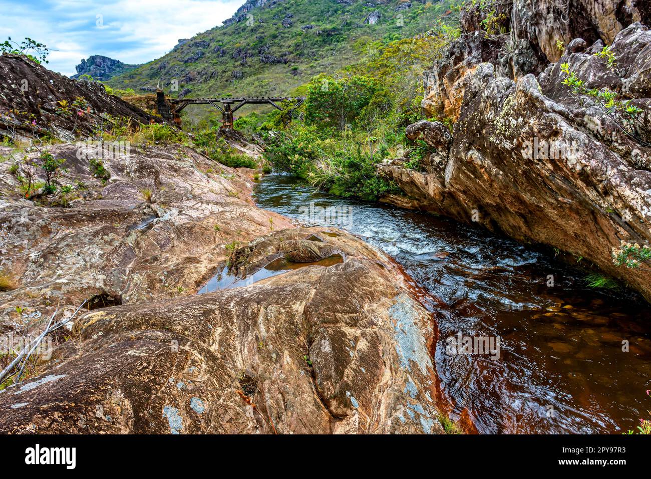 Fiume attraverso la vegetazione della riserva Biribiri a Diamantina con un vecchio ponte in legno costruito da schiavi per drenare la produzione di diamanti e. Foto Stock