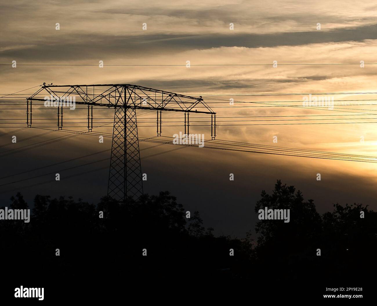 Palo di alimentazione ad alta tensione con linea aerea attraverso la quale viene trasportata l'elettricità Foto Stock