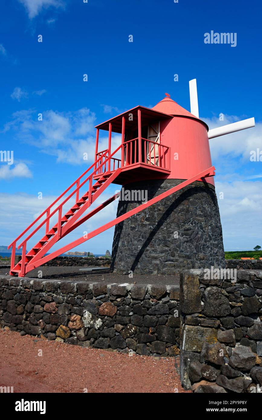 Mulino a vento, zona di coltivazione, patrimonio mondiale dell'UNESCO, Moinho do Frade, regione vinicola di Verdelho, Pico, Azzorre, Portogallo Foto Stock