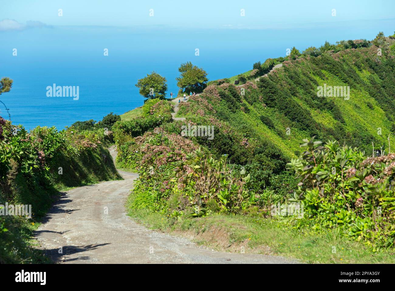 Cratere (Caldeira) bordo das Sete Cidades, Sao Miguel, Azzorre, Portogallo Foto Stock