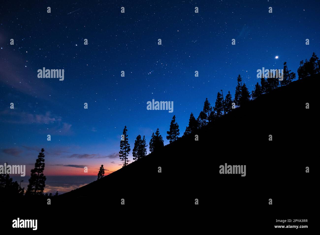 Cielo notturno lungo il pendio di Volcán Samara, Parco Nazionale del Teide, Tenerife, Spagna Foto Stock