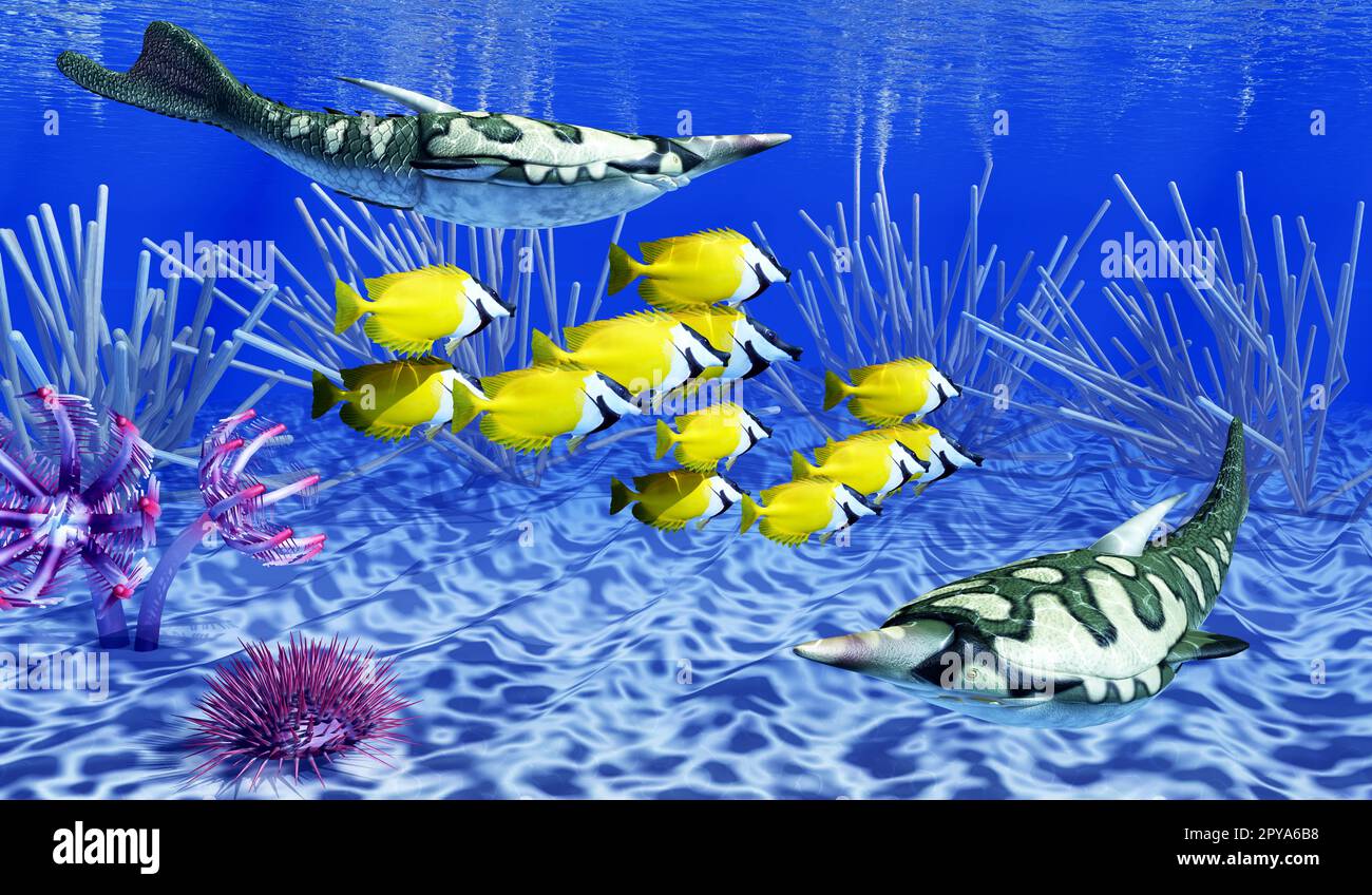 Pteraspis era un primitivo jawless pesci che vivevano negli oceani del Periodo Devoniano. Foto Stock