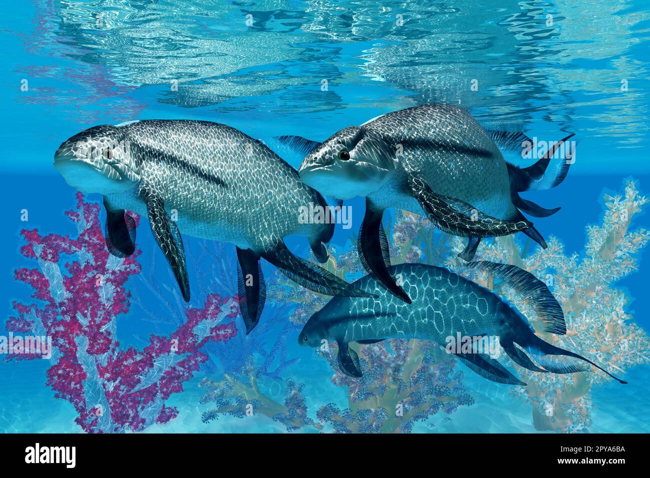 Scaumenacia era un primitivo jawless pesci che vivevano negli oceani del Periodo Devoniano. Foto Stock