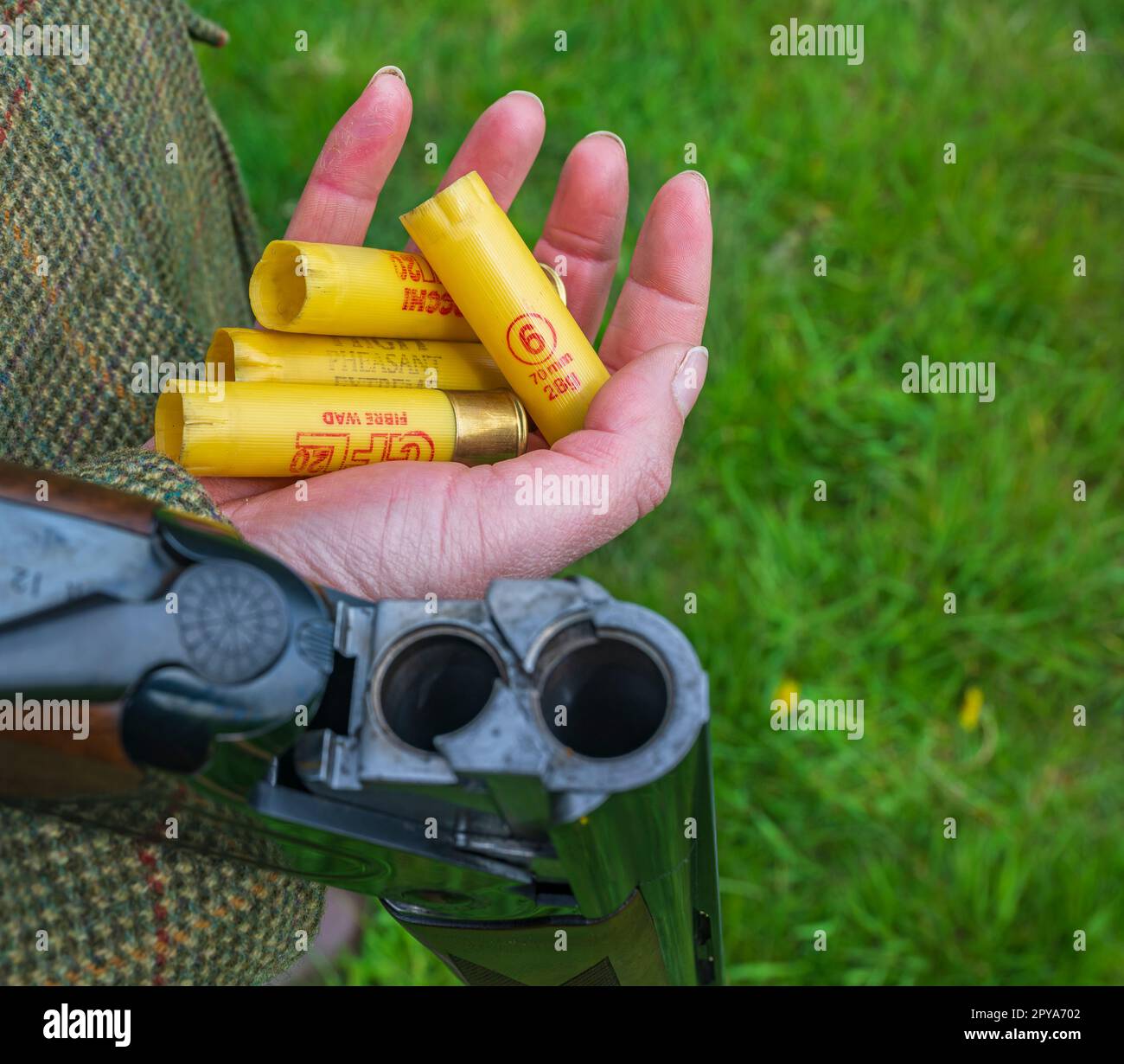 Primo piano di una mano di una donna che tiene un fucile aperto e una manciata di cartucce usate Foto Stock