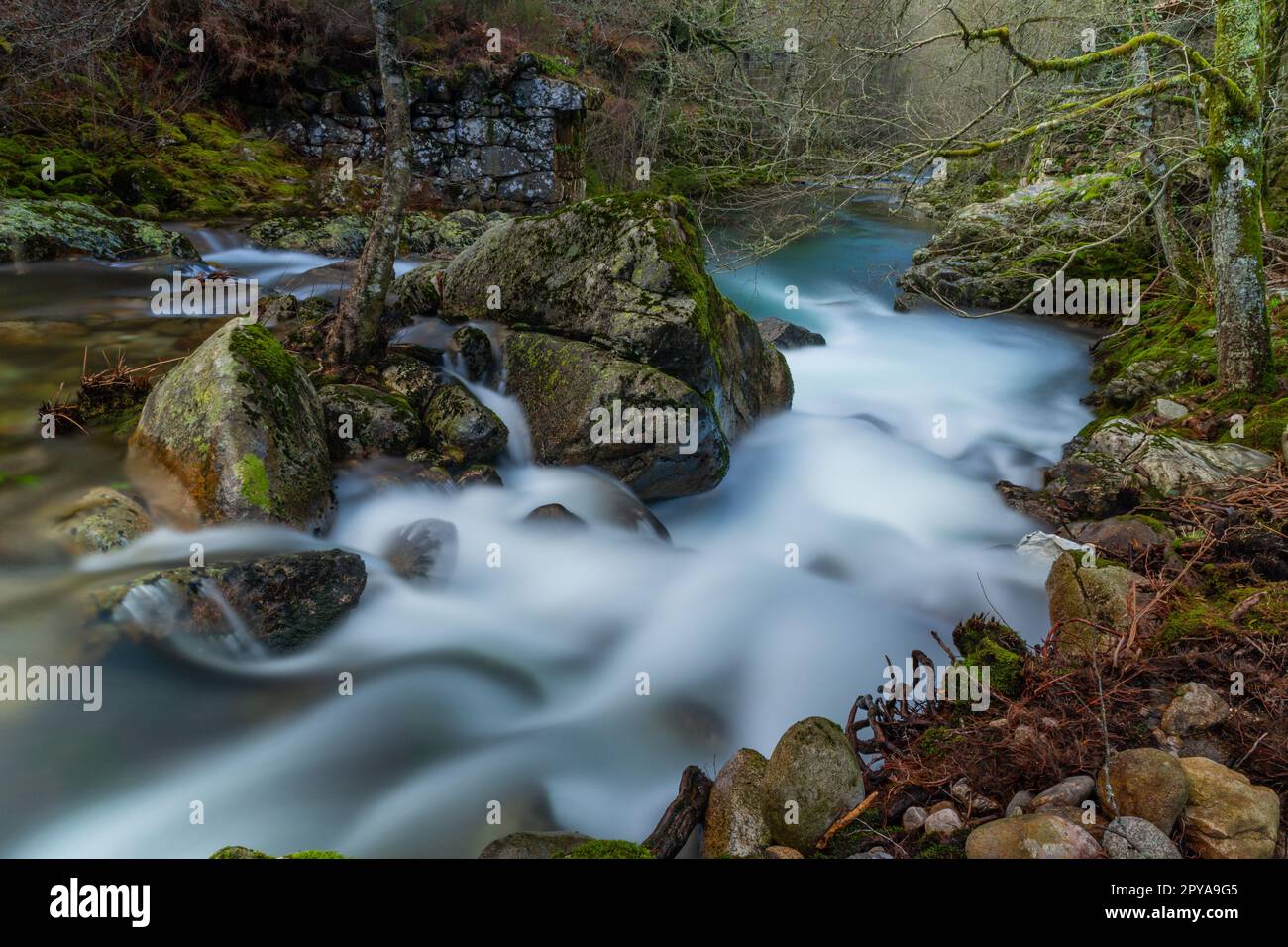 lunga esposizione al fiume Foto Stock