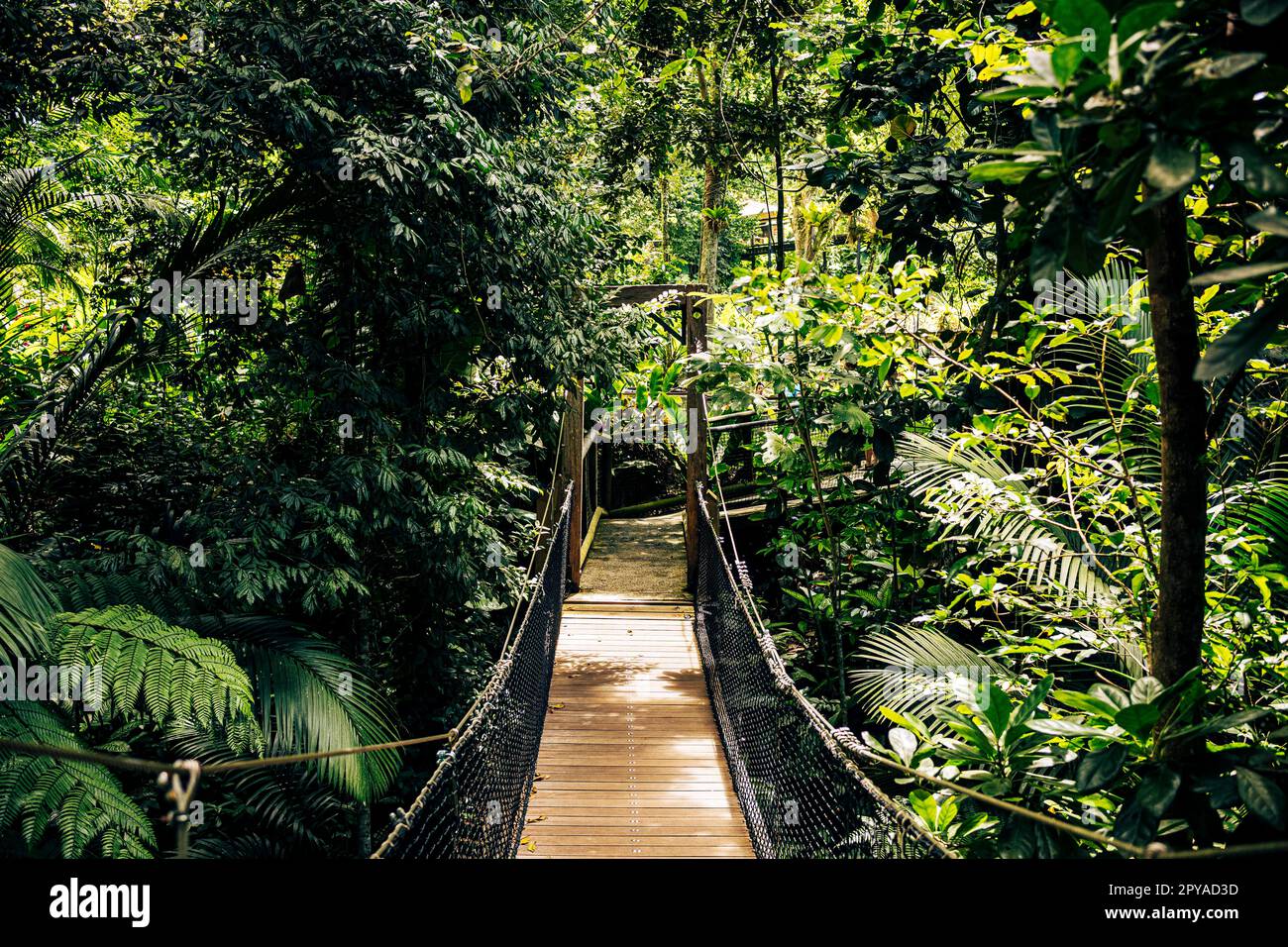 Guadeloupe zoo immagini e fotografie stock ad alta risoluzione Alamy