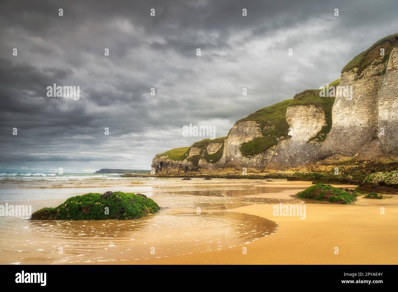 Rocce ricoperte di alghe marine e formazioni di roccia calcarea su White Rocks Beach, Irlanda del Nord Foto Stock