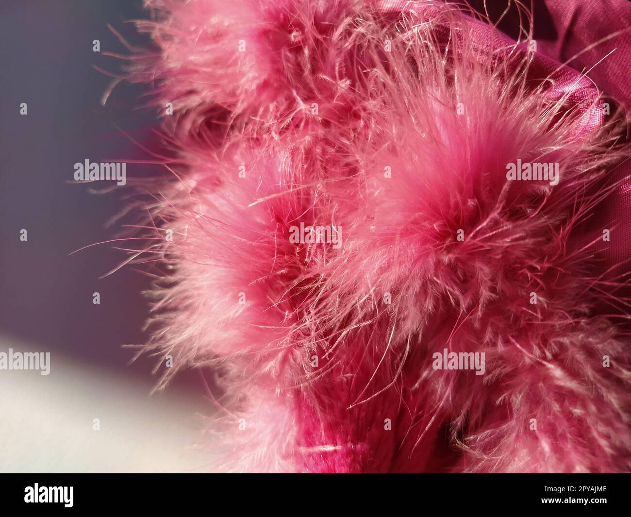 Primo piano con pelliccia sintetica rosa o piume di uccelli naturali di colore rosa. Piume leggere boa. Consistenza delicata. Biglietto d'auguri buon San Valentino. Colletto da una giacca da donna o da ragazza. Rosa brillante o di colore Foto Stock