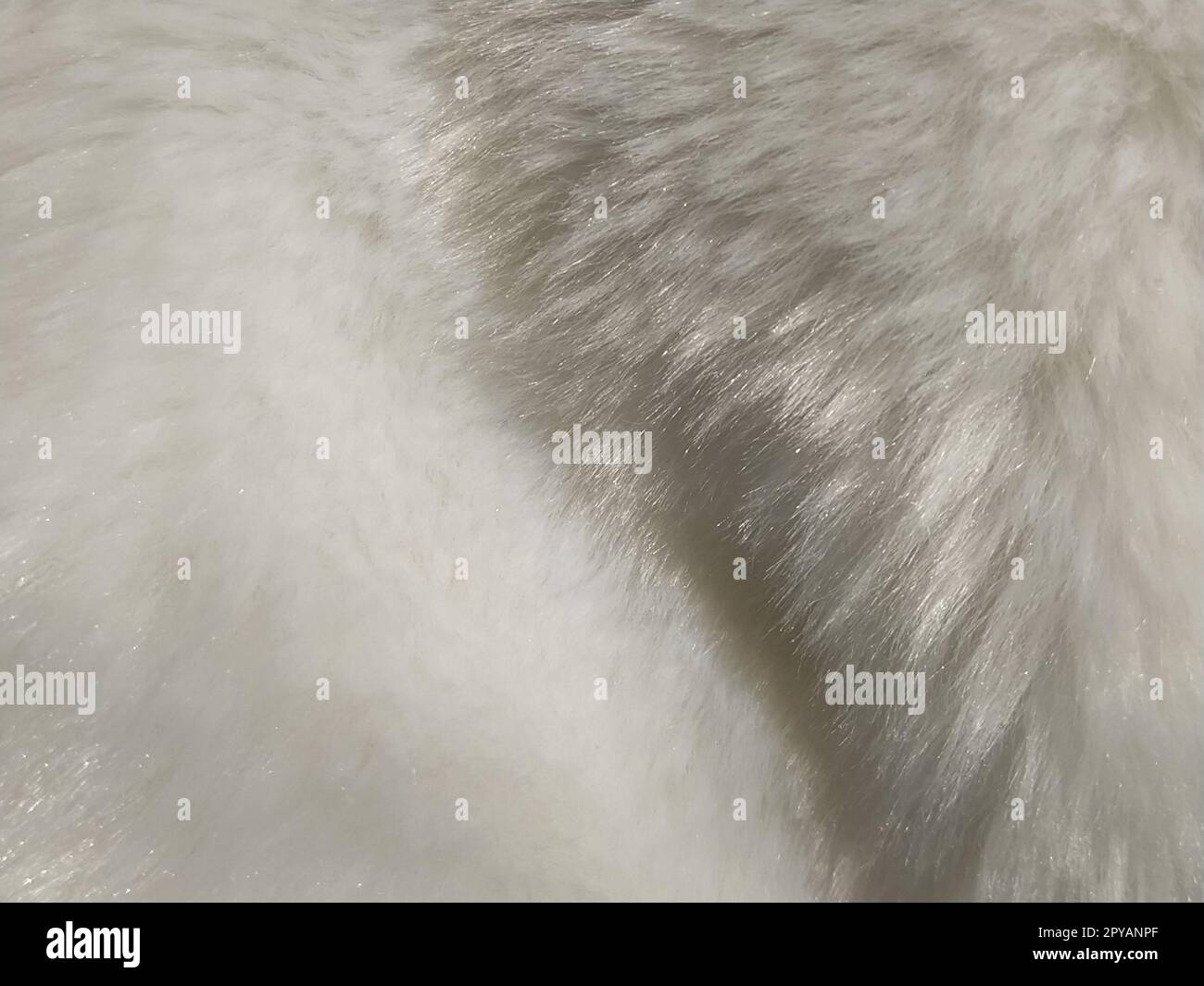 Pelliccia sintetica bianca. Primo piano. Foto parzialmente sfocata. Villi soffici Foto Stock