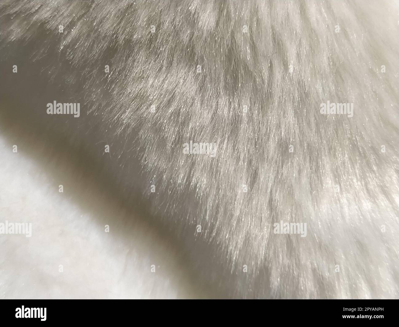 Pelliccia sintetica bianca. Primo piano. Foto parzialmente sfocata. Villi soffici Foto Stock