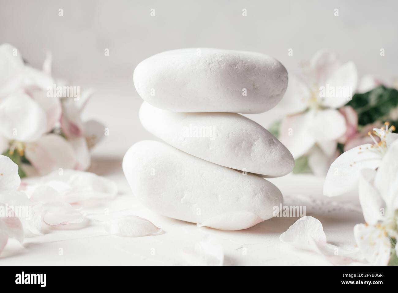 Pila di pietre di ciottoli bianchi su una superficie di gesso leggero, con fiori di mele Foto Stock