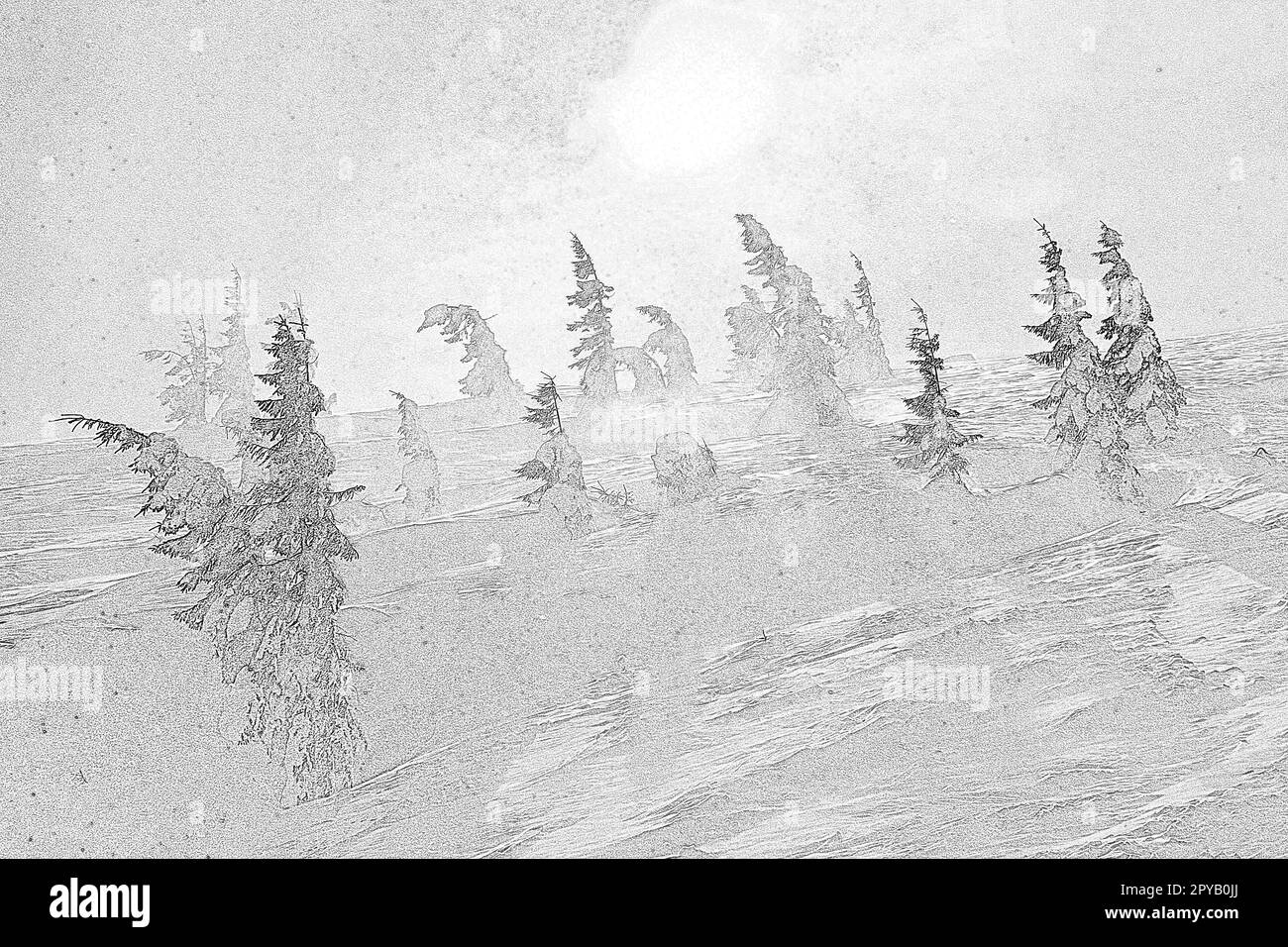 Vento Blizzard che soffia attraverso l'incisione della foresta di abeti, disegno disegnato a mano Foto Stock