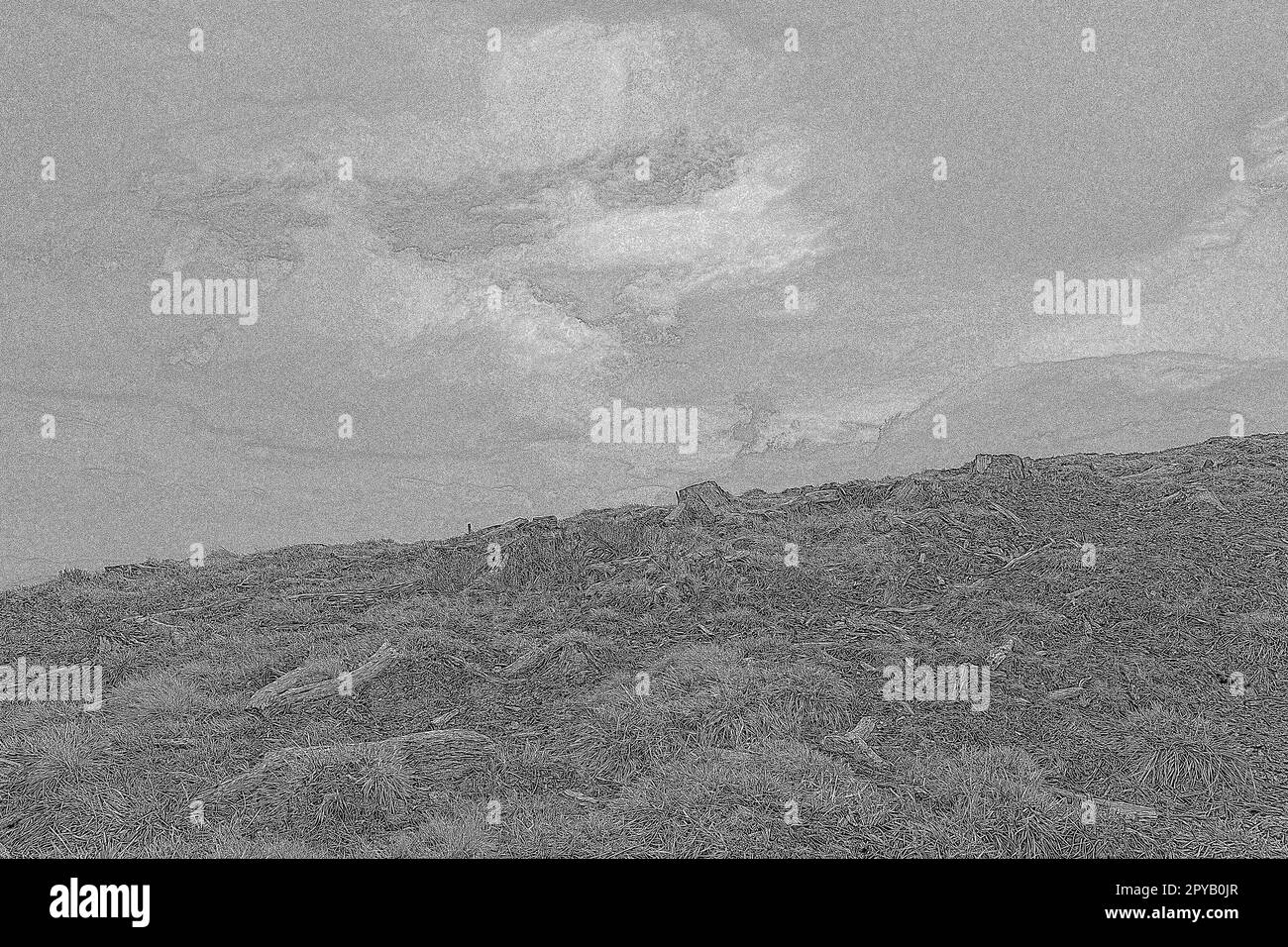 Highland Valley con erba secca e incisione a ceppo rotto schizzo disegnato a mano Foto Stock
