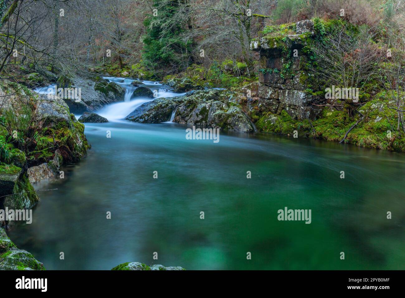 lunga esposizione al fiume Foto Stock