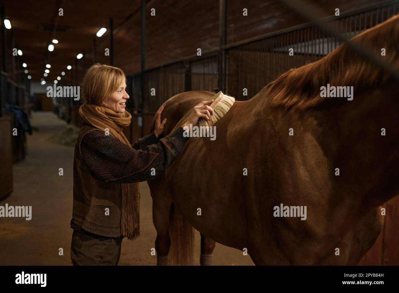 Giovane donna sorridente che pulisce a cavallo il suo stallone marrone purerosso Foto Stock
