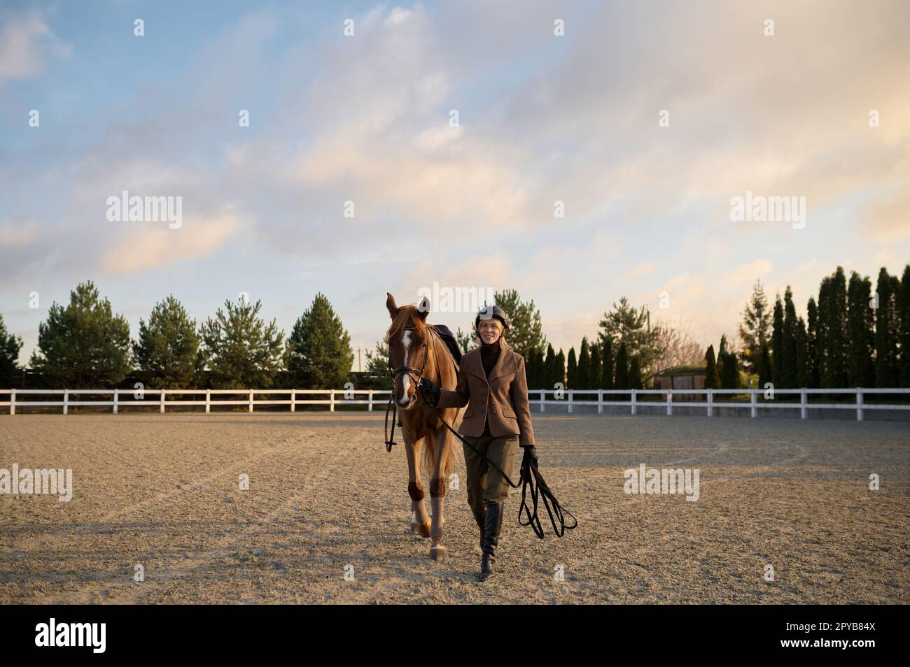 Donna cavaliere a piedi cavallo fianco a fianco reggendo imbracatura sella-cintura Foto Stock