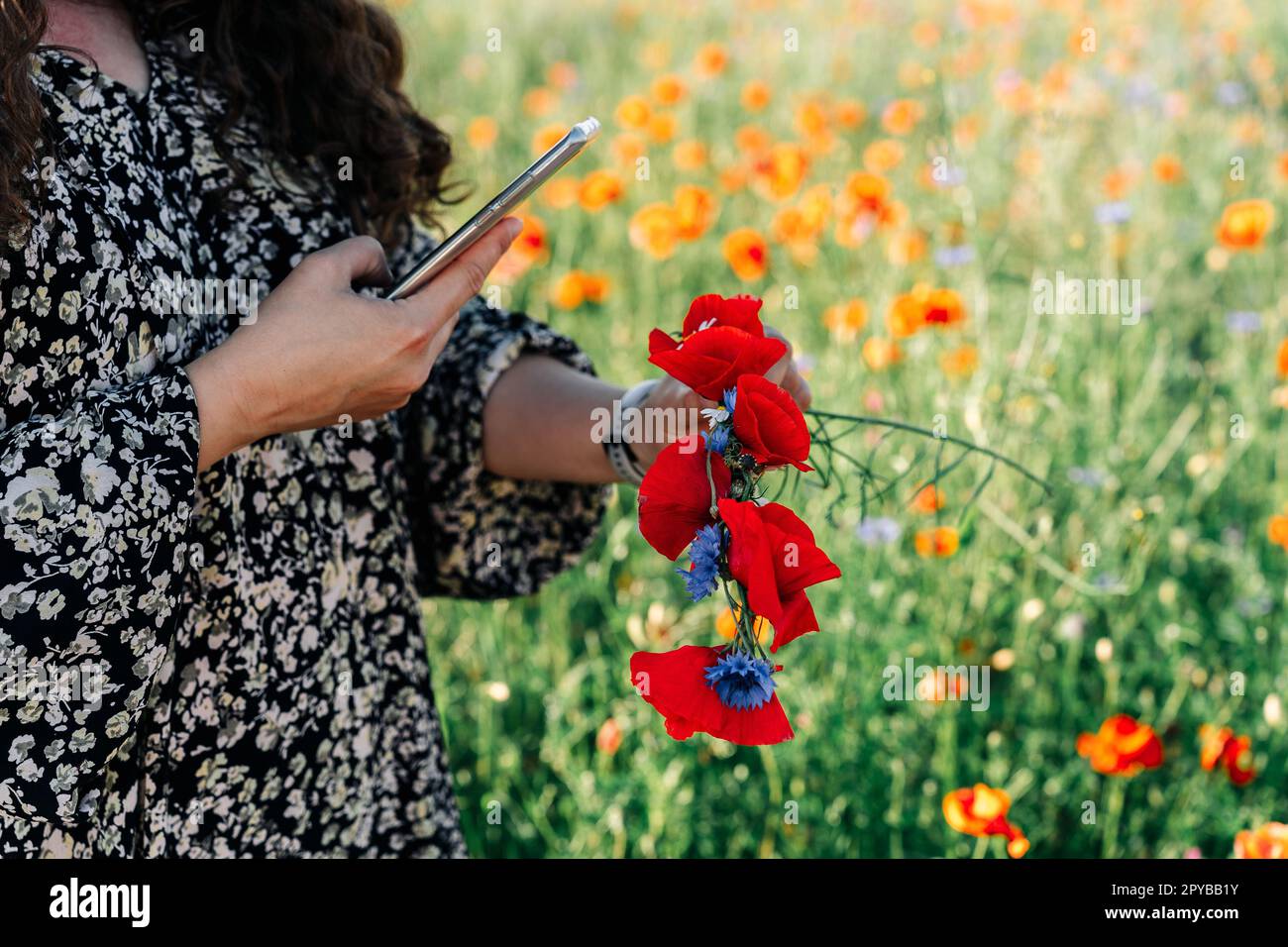 Donna più foto di formato utilizzando un telefono wreath di fiori selvatici: Papaveri rossi e fiori di mais blu Foto Stock