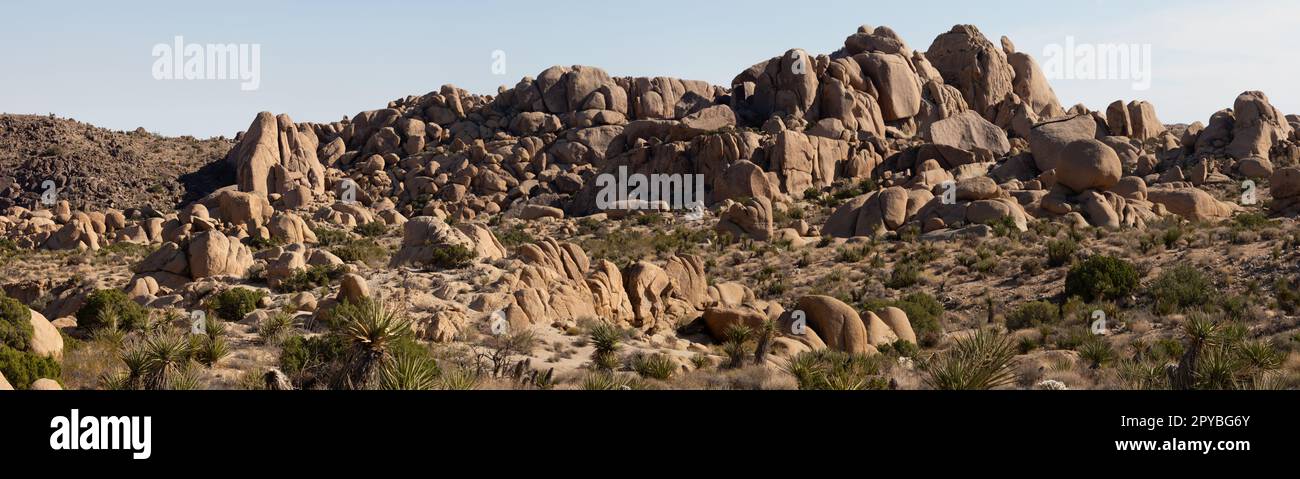 Joshua Tree NP, California, USA - 1 dicembre 2021: Formazioni rocciose, grandi alberi giganti e le iconiche foreste di Joshua Tree attirano gli appassionati di attività all'aria aperta Foto Stock