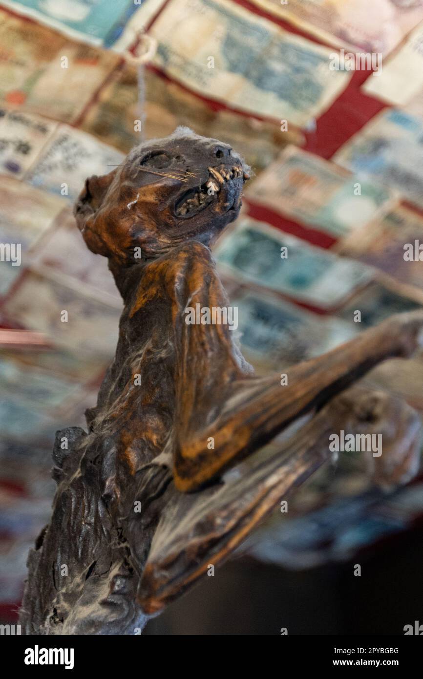 Il Nutshell il 12th ottobre 2022 a Bury St Edmunds, Suffolk, Inghilterra. Il Nutshell sostiene di essere il più piccolo pub in Inghilterra. Credit: Notizie SMP Foto Stock