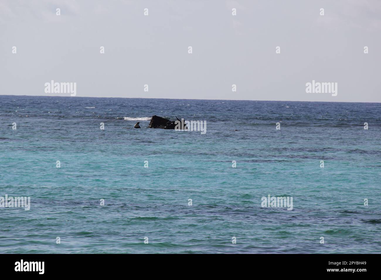 barca affondata in oceano Foto Stock barca affondata in oceano Foto Stock