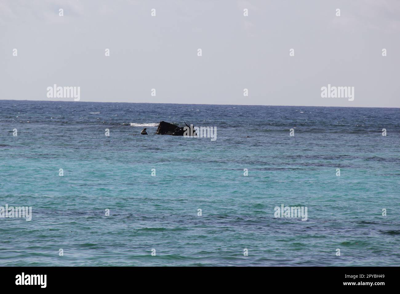 barca affondata in oceano Foto Stock