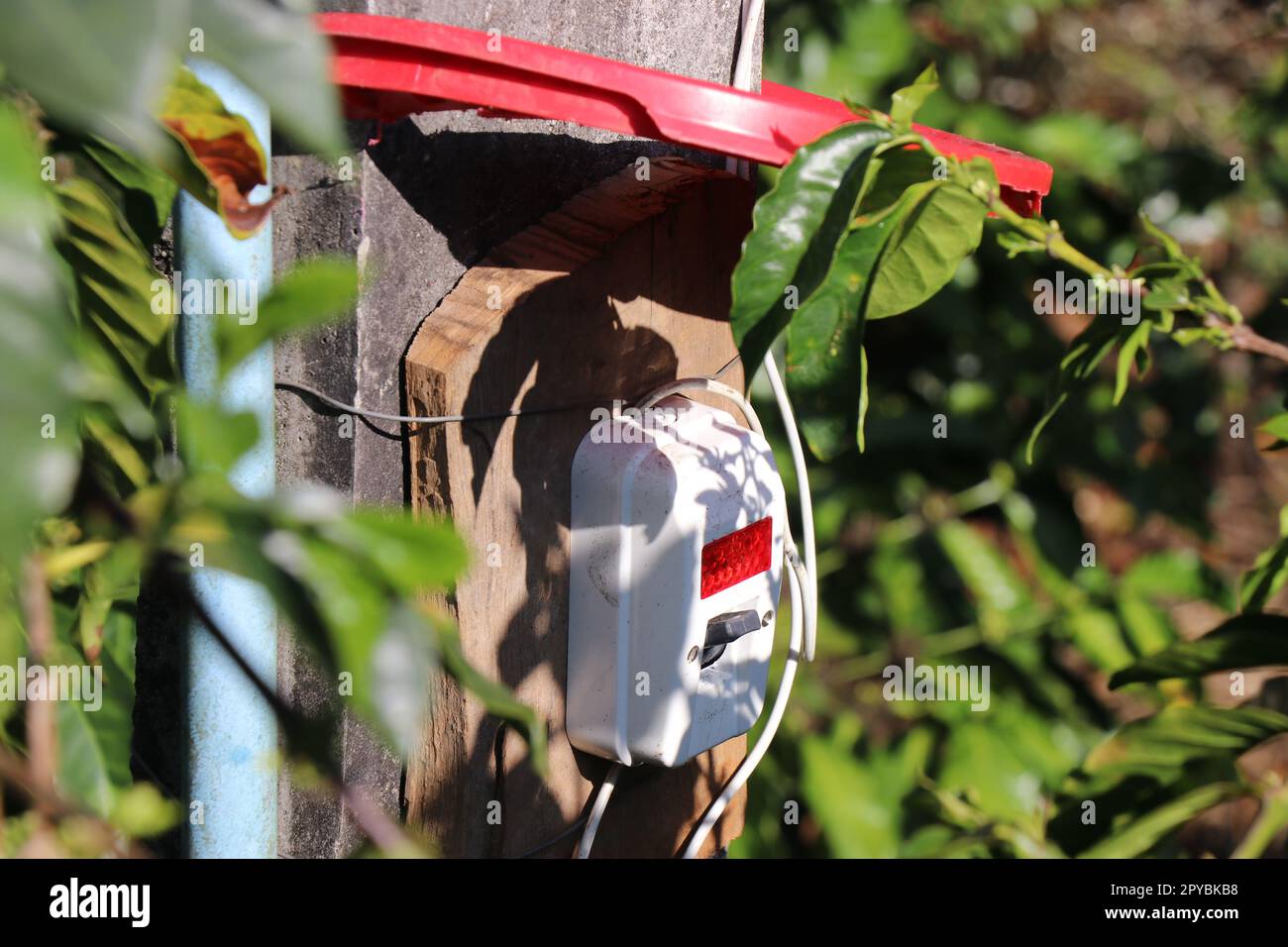 Interruttore DP installato su un palo elettrico in calcestruzzo con una disposizione per fornire uno scudo idrico utilizzando materiali riciclati installati sulla parte superiore Foto Stock