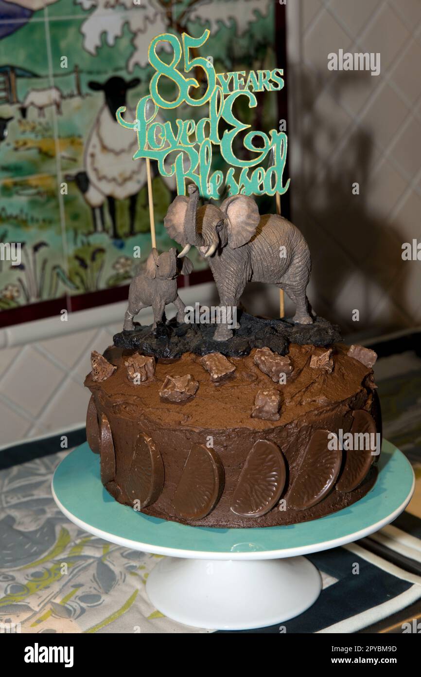 85th torta di compleanno al cioccolato con elefante africano e. Foto Stock