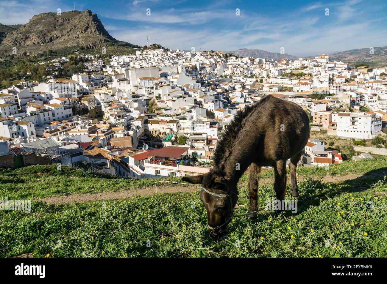 Álora , Malaga, Andalusia, Spagna Foto Stock