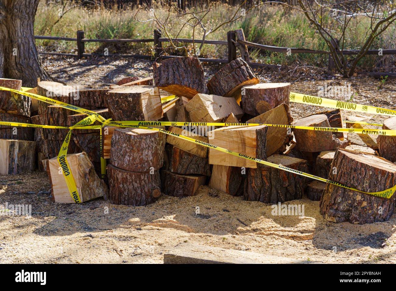 Morongo Valley, California - 4 febbraio 2023: Un mucchio di pezzi tagliati di un grande albero con nastro di cautela intorno ad esso Foto Stock