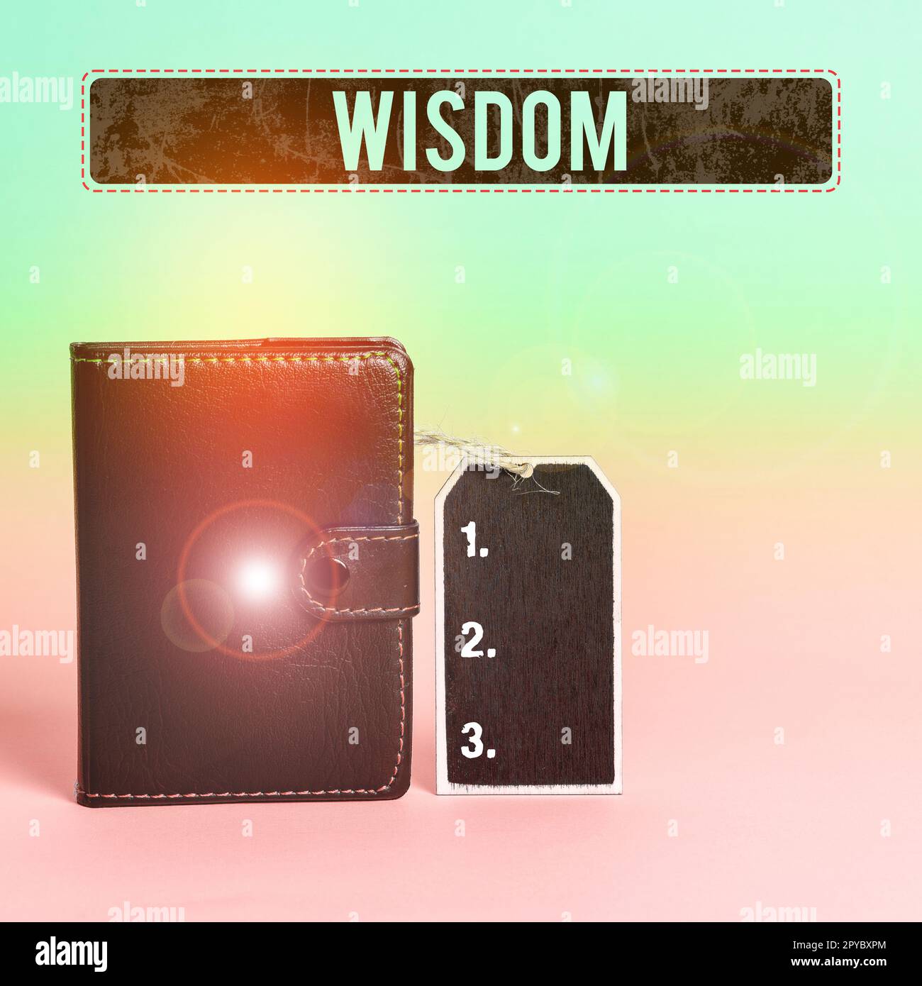 Saggezza di visualizzazione concettuale. Parola per qualità avere conoscenza di esperienza e buon giudizio qualcosa Foto Stock