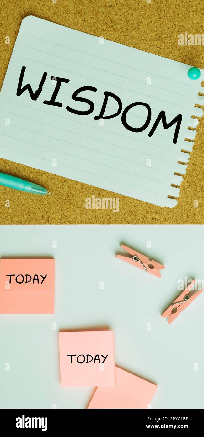 Segno che mostra saggezza. Parola per qualità avere conoscenza di esperienza e buon giudizio qualcosa Foto Stock