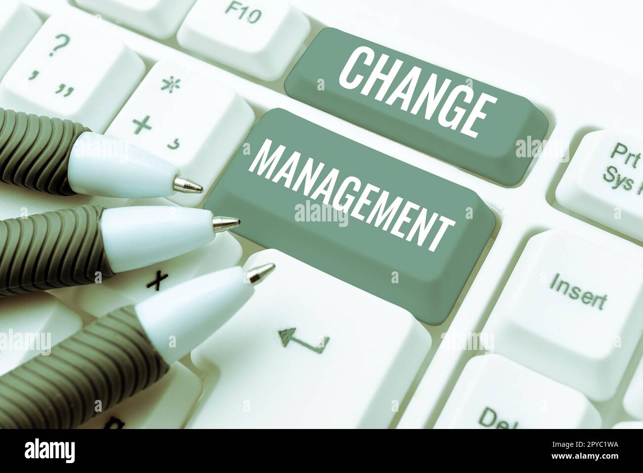 Simbolo di testo che mostra Change Management. Parola per la sostituzione della leadership in un'organizzazione nuove politiche Foto Stock