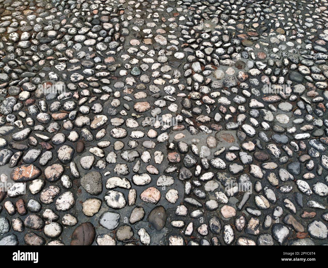 Pietre per pavimentazione in pietre rotonde leggere simili al marmo. Piazza lastricata nel centro storico di Sarajevo, Bosnia ed Erzegovina. Bellissime pietre bagnate e lucide dopo la pioggia. Primo piano con luce naturale Foto Stock