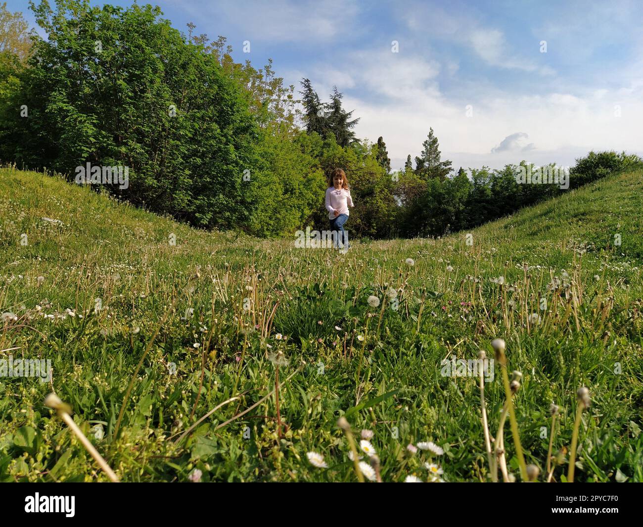 La ragazza corre attraverso il campo con erba verde tagliata. il bambino è vestito con una camicetta bianca e jeans blu. Sera d'estate. Divertimento per bambini. Ragazza con lunghi capelli biondi Foto Stock