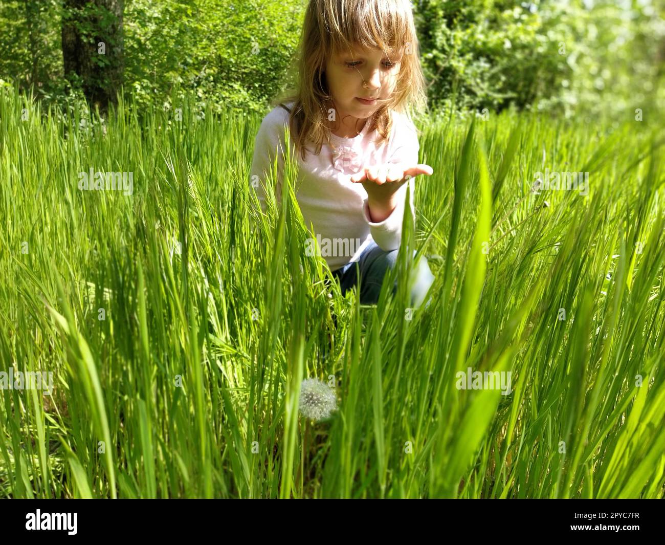 Misteriosa ragazza nell'erba verde. Il bambino ha i capelli lunghi biondi e una blusa bianca. La ragazza guarda il palmo. Il concetto di armonia con la natura e cura per l'ecologia. Stile di vita sano Foto Stock