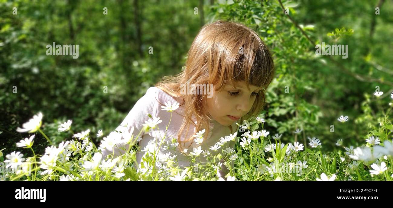 Ragazza carina con i capelli biondi nel prato. I fiori selvatici sono bianchi. Stellaria è un genere di piante da fiore della famiglia dei chiodi di garofano. Il bambino è felice. La ragazza si inchinò la testa e annusando i fiori. Foto Stock